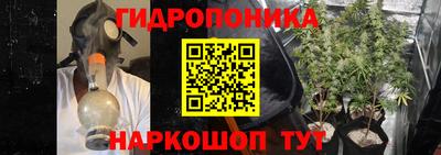 ALPHA PVP Аргун