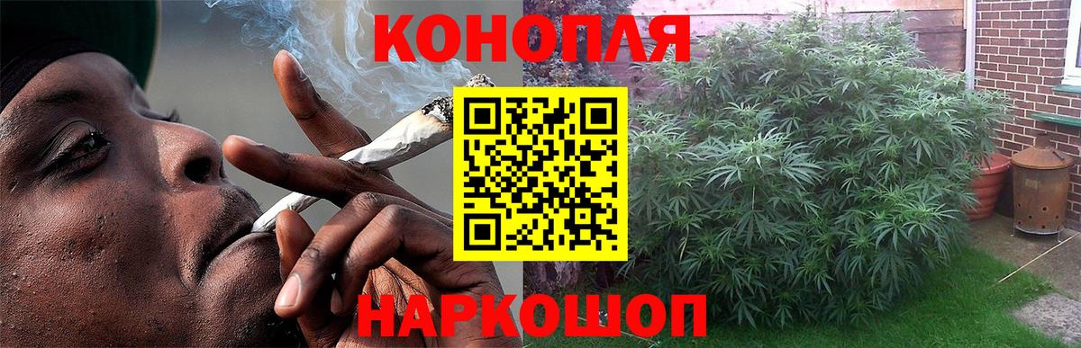 МАРИХУАНА гибрид  Шишки марихуана планчик  Великий Новгород  Марихуана планчик 